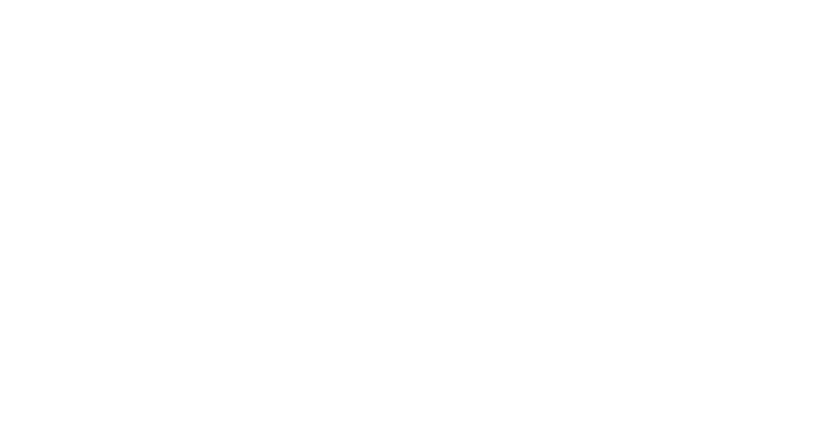 ConnexionBiz PTE. LTD.